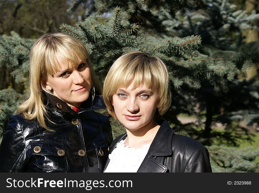 Portrait of sisters on a background of fur-trees. Portrait of sisters on a background of fur-trees
