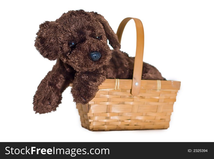 Cute Isolated Puppy And Basket