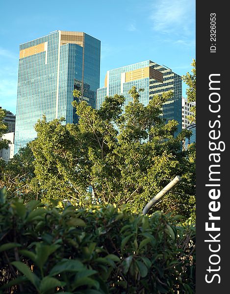 Blue glass skyscrapers, green trees in foreground,. Blue glass skyscrapers, green trees in foreground,