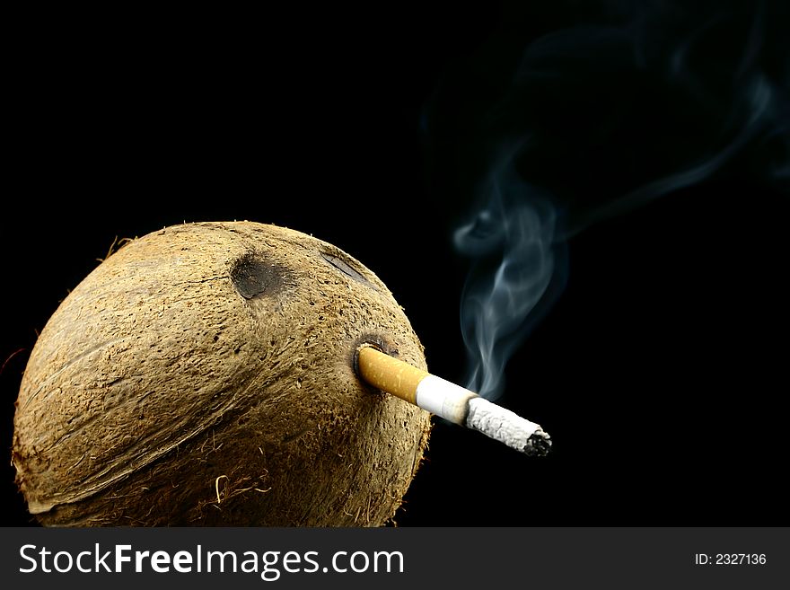 Coconut head still smoking cigarette on a black background. Coconut head still smoking cigarette on a black background