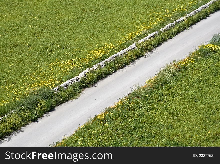 A suggestive country street in the spring landscape. A suggestive country street in the spring landscape