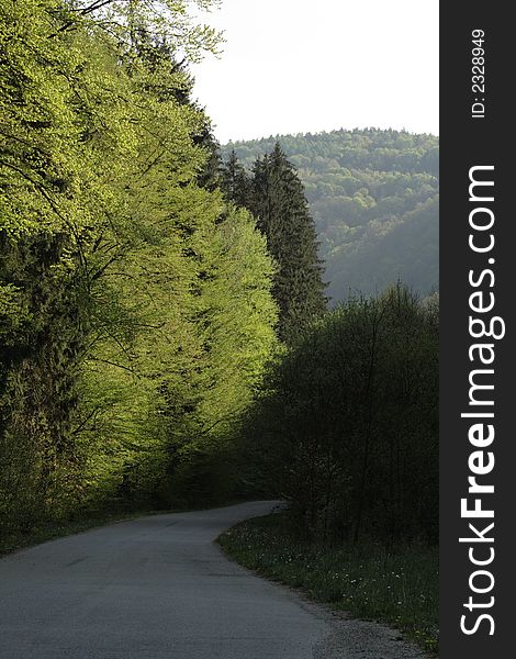 A asphalt road in mountain in the springtime