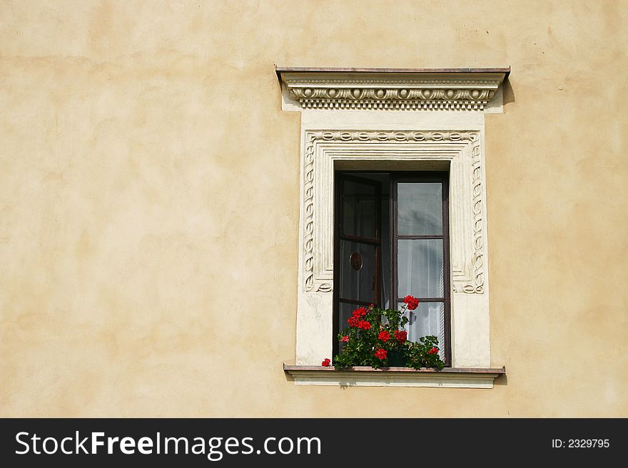 Flower window with beige background in Crakow, Poland