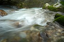 Stream Running Water Royalty Free Stock Image