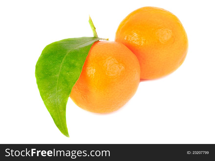 Two mandarines isolation on white  background