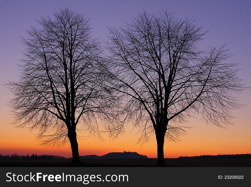 Two silhouettes of trees with colorful sky after sunset. Two silhouettes of trees with colorful sky after sunset