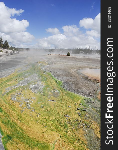 Sulfur hot springs full of color in Yellowstone National Park. Sulfur hot springs full of color in Yellowstone National Park