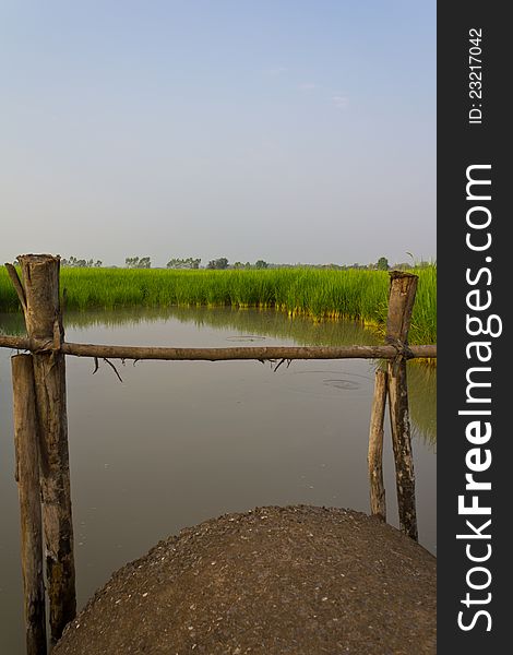 Cement pipe for drainage in the paddy fields. Cement pipe for drainage in the paddy fields.