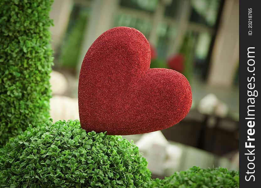 Red heart symbol in the green bush