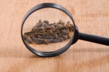 Cloves And Loop Stock Photos Cloves And Loop Stock Photos