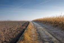 Road Through Corn Field And Plow Stock Image Road Through Corn Field And Plow Stock Image