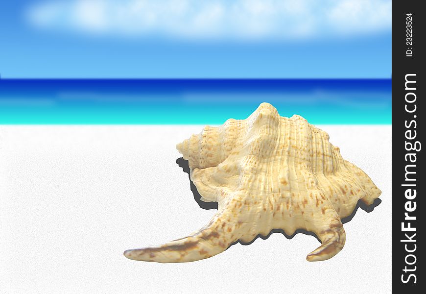 Sea shell on white sand against the sea