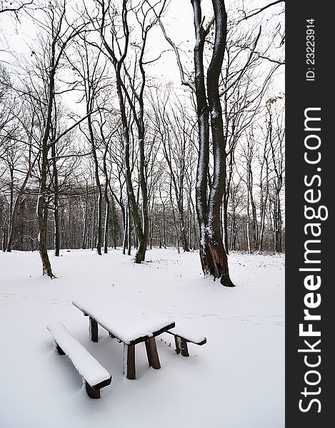 Wooden bench in park covered with snow. Wooden bench in park covered with snow