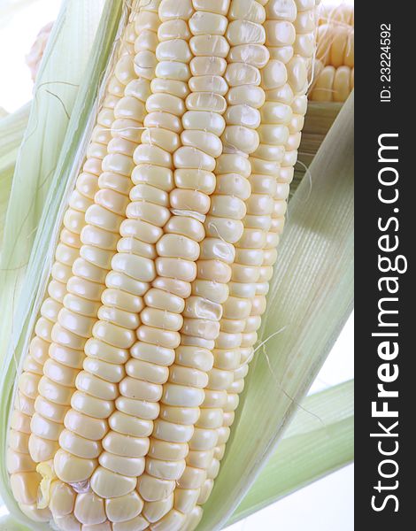 E corn, mature, corn of white background, grain.