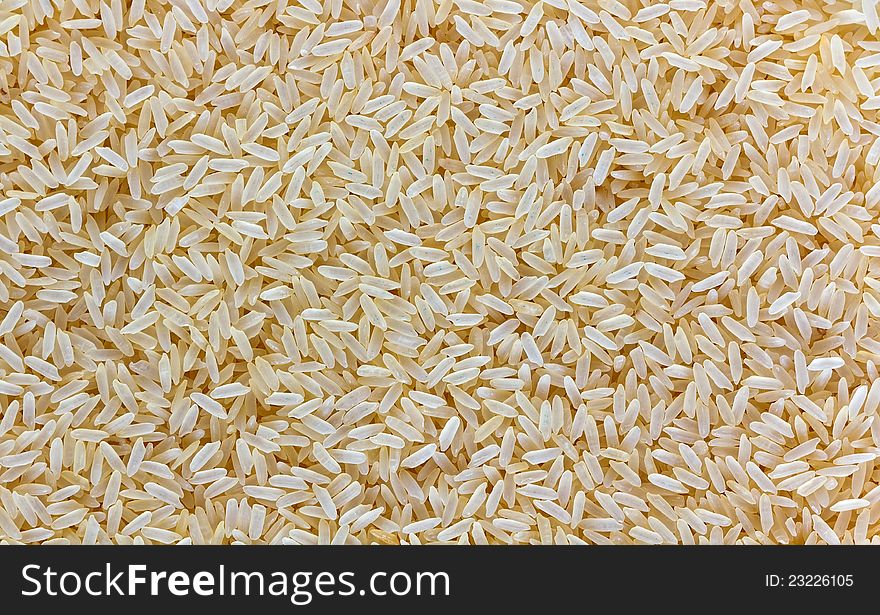 A closeup macro shot of raw rice grains. A closeup macro shot of raw rice grains