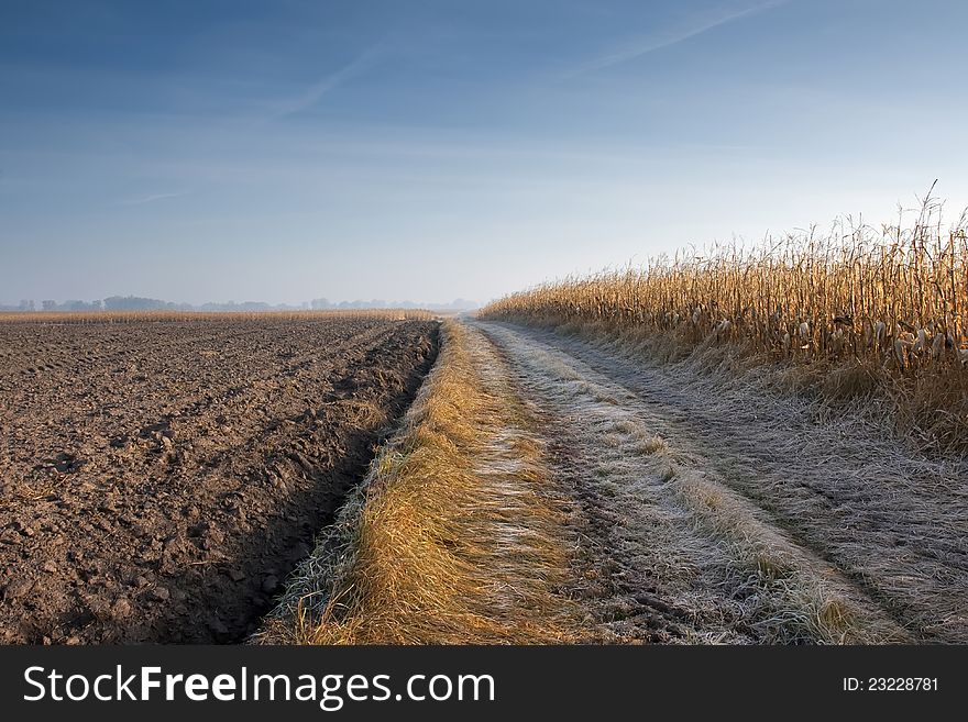 Road Through Corn Field And Plow