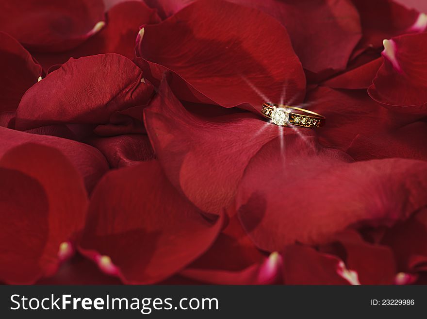 A still life composition of a brilliant gold and diamond ring laid on a bed of red rose petals. A still life composition of a brilliant gold and diamond ring laid on a bed of red rose petals