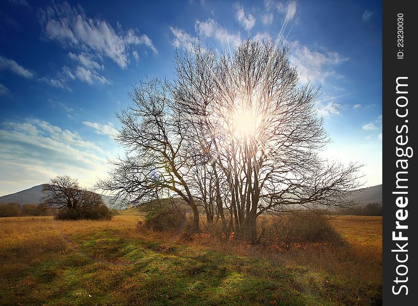 Autumn landscape with sunlight filtering through tree branches and mountains in the background