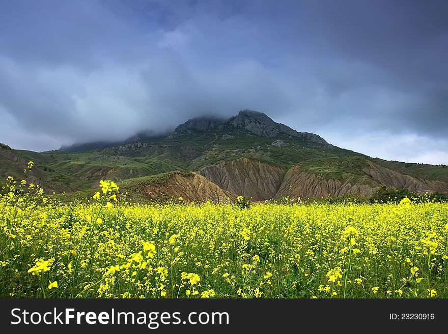 Summer landscape with a gloomy sky, mountain and colza. Summer landscape with a gloomy sky, mountain and colza