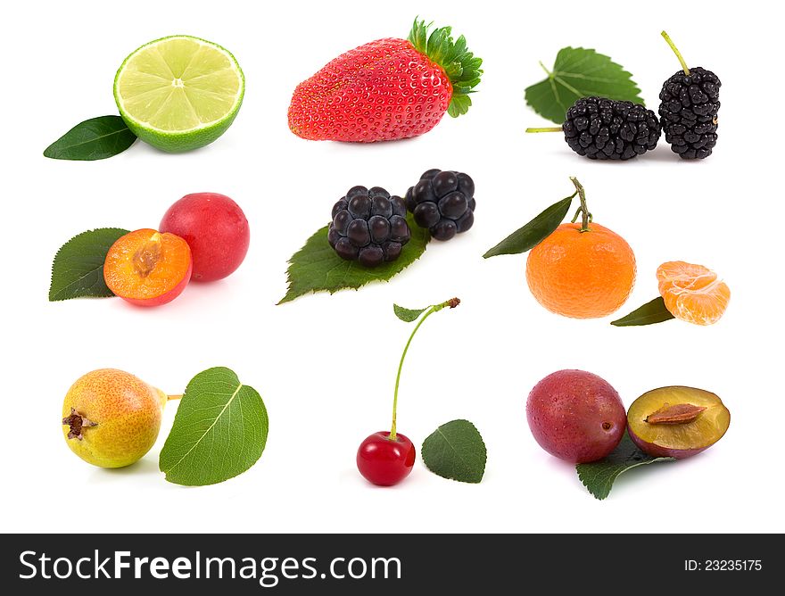 Collection Fruit