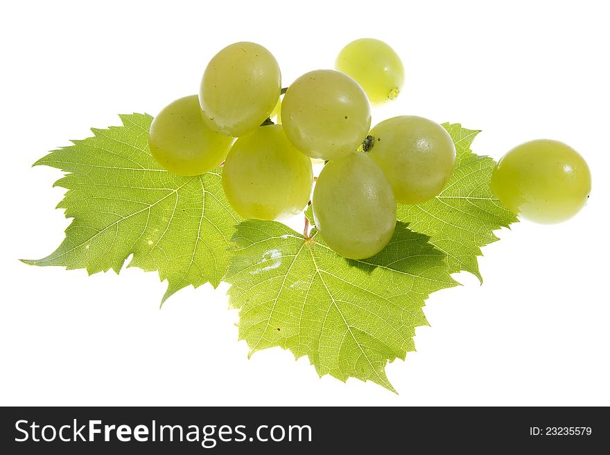 Grapes isolated on a white .