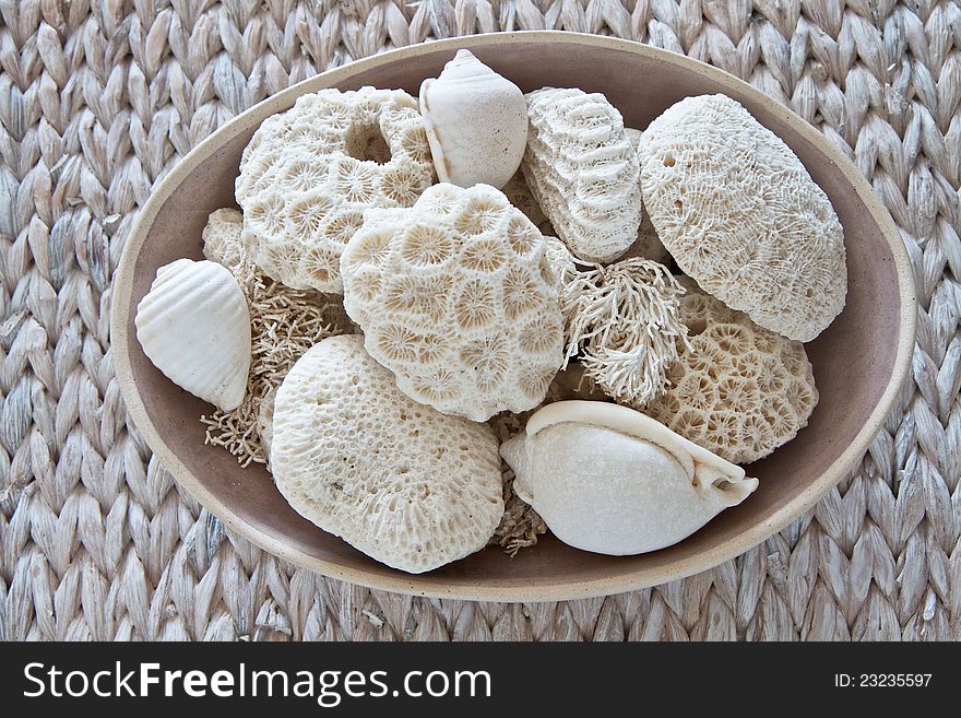 Coral, shells and seaweed in a bowl