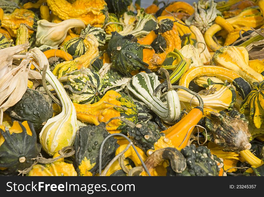 A Pile Of Gourds