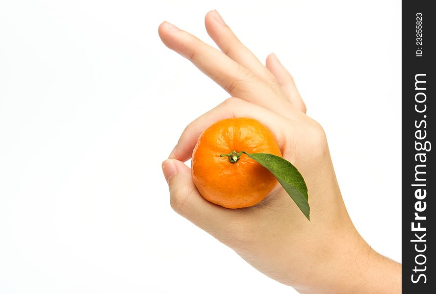 Orange on hand in white background