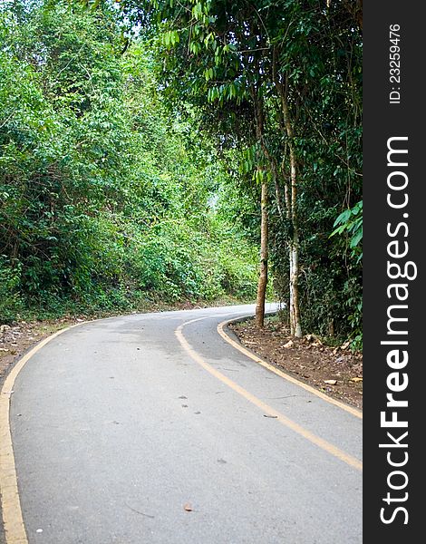 Curve Street in nature of thailand. Curve Street in nature of thailand