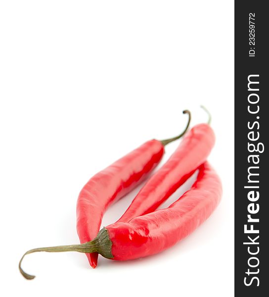 Three hot red chili peppers  on a white background