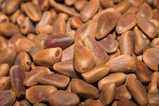 Nuts Pine Royalty Free Stock Photo Nuts Pine Royalty Free Stock Photo