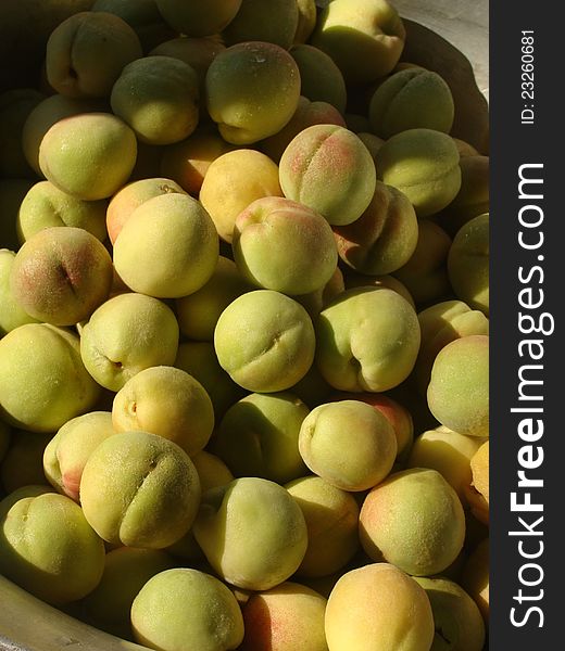 Young peaches in a basin