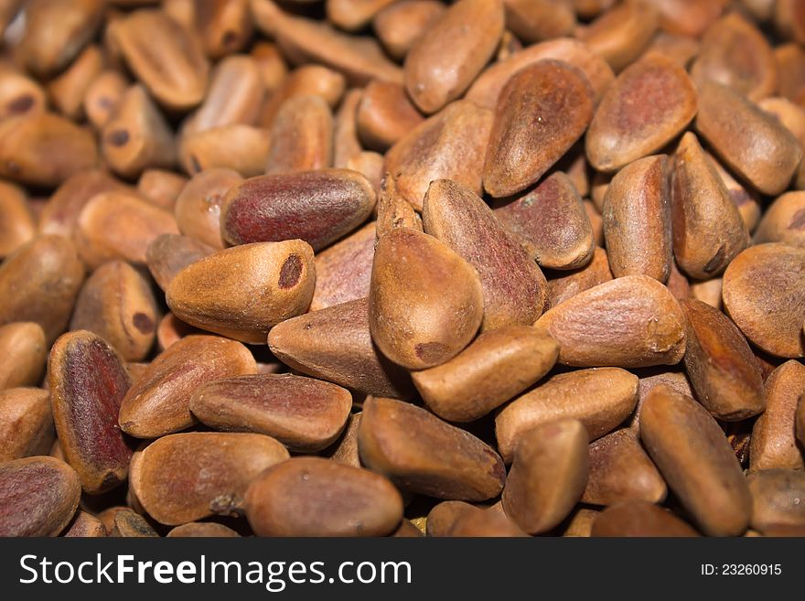 A close-up shot of unshelled pine nuts. A close-up shot of unshelled pine nuts