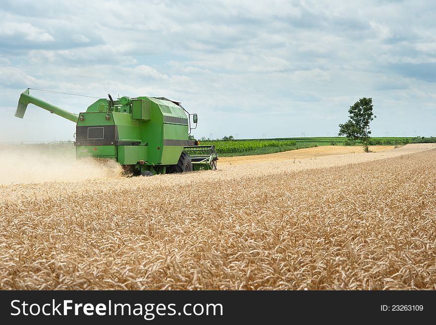 A combine harvester working in a wheat field