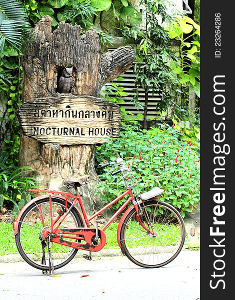 Red bicycle, The red bike in the park