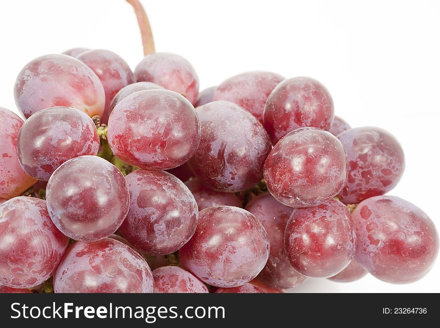 Closeup of black grapes with white background