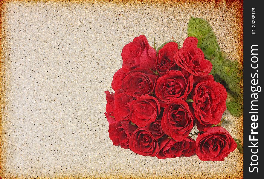 Vintage rose on grunge paper background