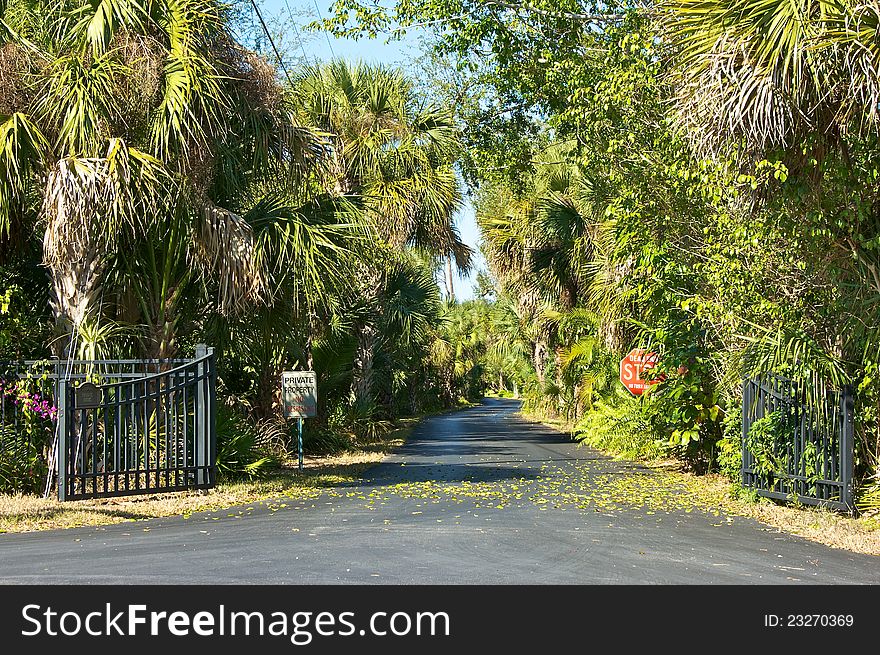 Entrance to a private road surrounded by palm trees and looking very tropical. Entrance to a private road surrounded by palm trees and looking very tropical.