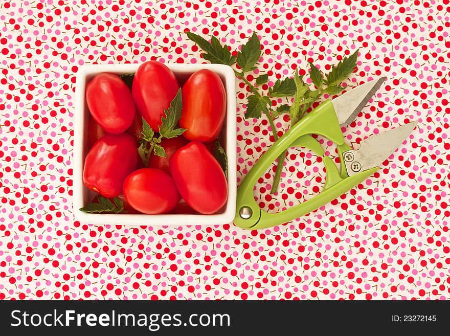 Freshly Harvested Cherry Tomatoes