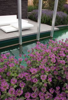 Terrace Garden Royalty Free Stock Photography Terrace Garden Royalty Free Stock Photography