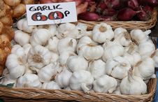 Garlic Bulbs. Stock Image