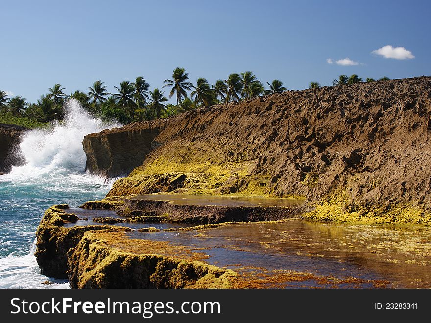 Waves and moss on lava rock. Waves and moss on lava rock