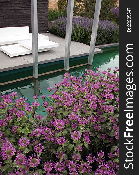 Modern terrace garden with garden furniture, lavandula and aster plants with water pond