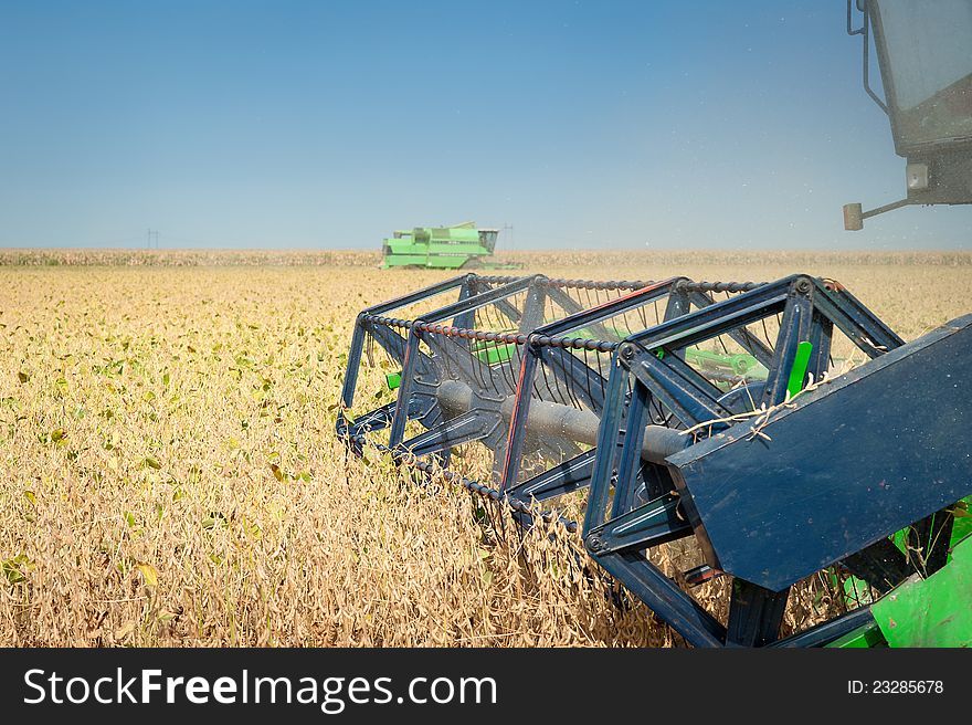 A farmer combines a field of soybeans. A farmer combines a field of soybeans