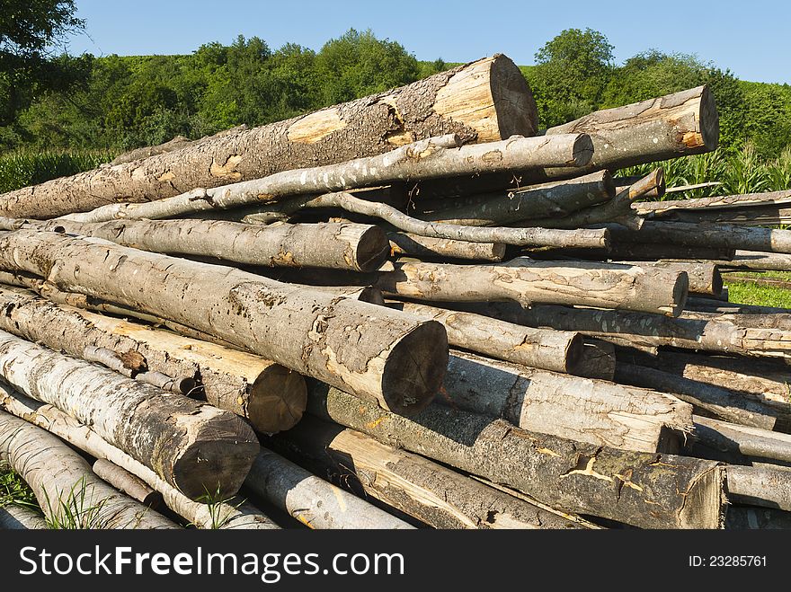 Logs piled before being cut up into firewood. Logs piled before being cut up into firewood