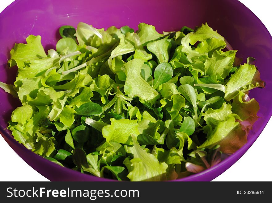 Fresh green salad in a purple dish
