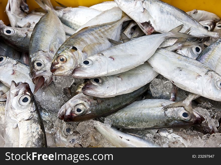 Fresh seafood at a fish market. Fresh seafood at a fish market