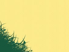 Yellow Background With Grass Royalty Free Stock Photography Yellow Background With Grass Royalty Free Stock Photography