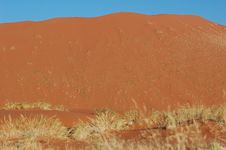 Large Sand Dune In Namibia Royalty Free Stock Images Large Sand Dune In Namibia Royalty Free Stock Images