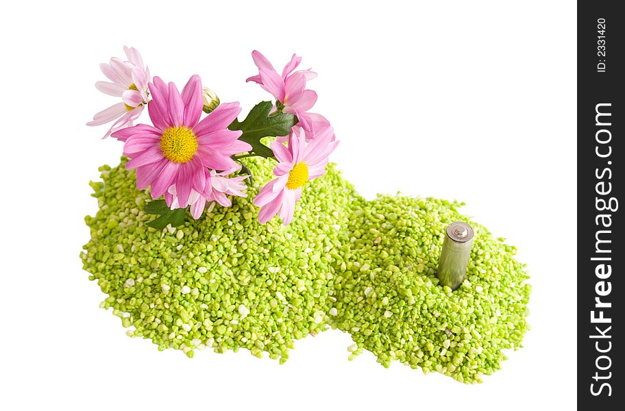 Flowers and a battery in green sand showing the concept of clean energy. Flowers and a battery in green sand showing the concept of clean energy